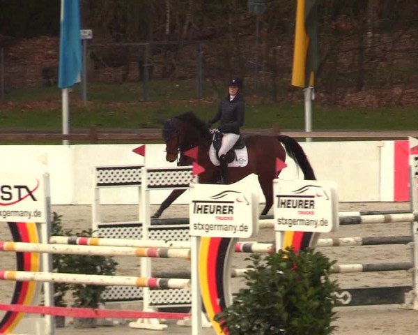 Reitturnier Westergellersen 2023