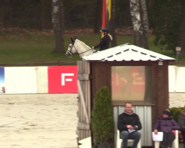 Reitturnier Westergellersen 2023