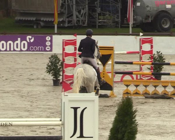 Reitturnier Westergellersen 2023