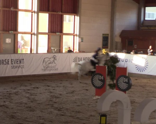 Reitturnier Prussendorf 2021