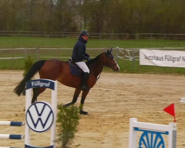 Reitturnier Wutzetz 2023
