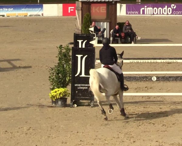 Reitturnier Westergellersen 2023