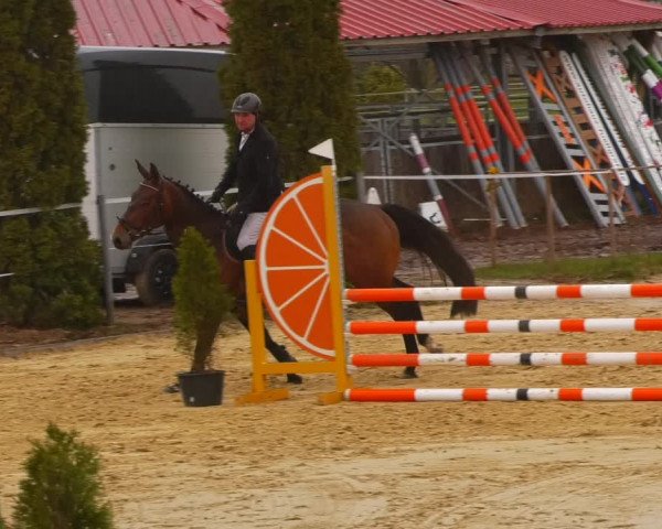 Reitturnier Wutzetz 2023