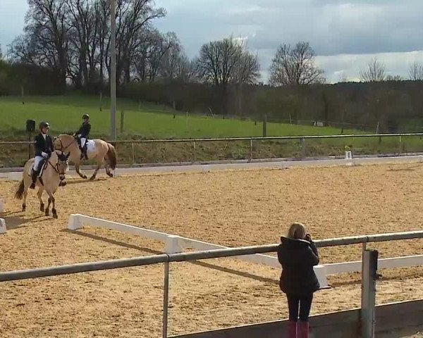 Reitturnier Altentrüdingen/Mfr. 2023