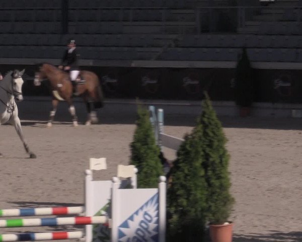 Reitturnier Aachen 2023