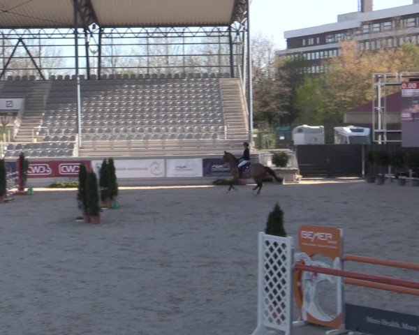 Reitturnier Aachen 2023