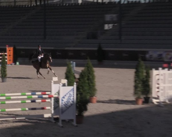Reitturnier Aachen 2023