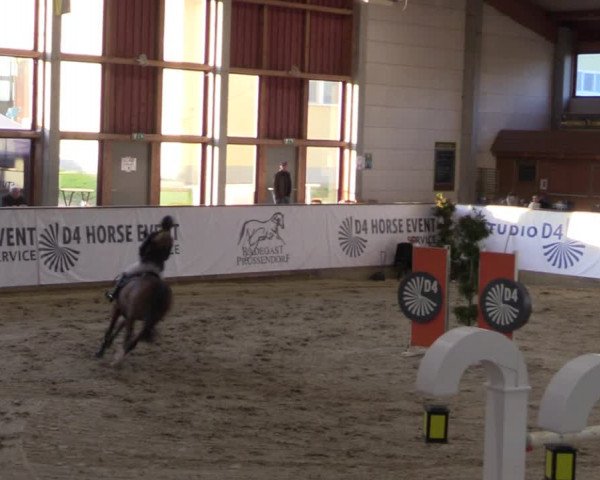 Reitturnier Prussendorf 2021