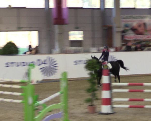 Reitturnier Prussendorf 2021