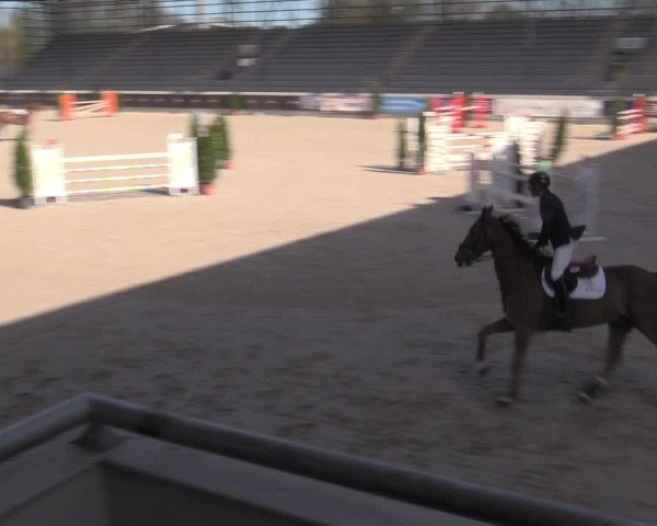 Reitturnier Aachen 2023