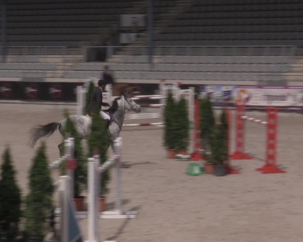 Reitturnier Aachen 2023