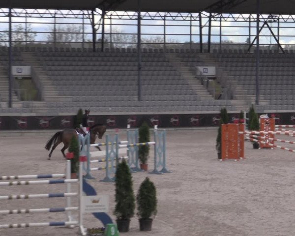 Reitturnier Aachen 2023