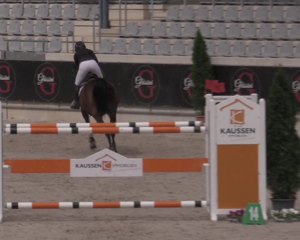 Reitturnier Aachen 2023