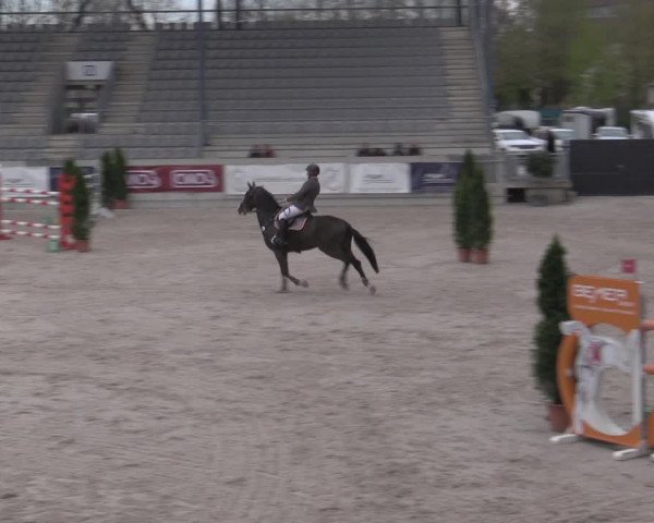 Reitturnier Aachen 2023