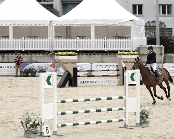 Reitturnier Amriswil 2023