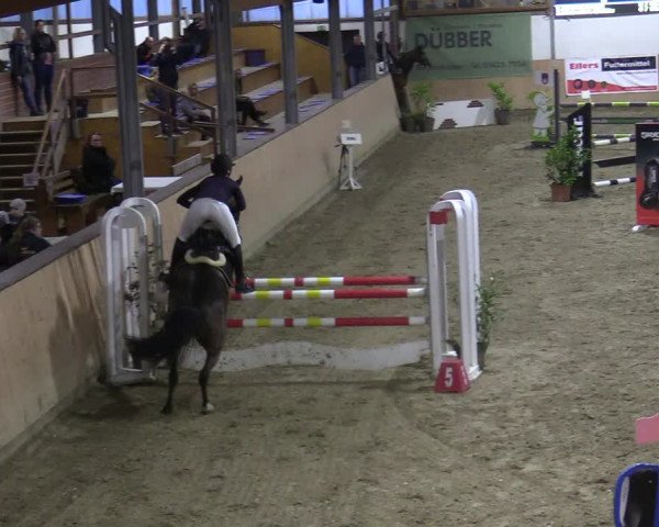 Reitturnier Borgholzhausen-Westbarthausen 2021