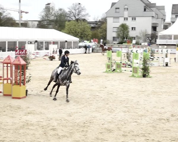 Reitturnier Amriswil 2023