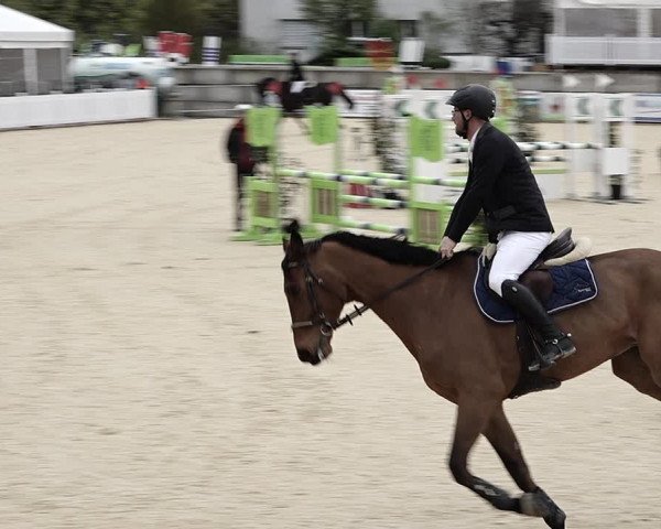 Reitturnier Amriswil 2023