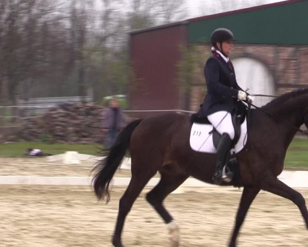 Reitturnier Wutzetz 2023