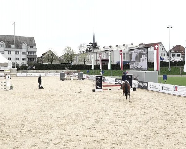 Reitturnier Amriswil 2023