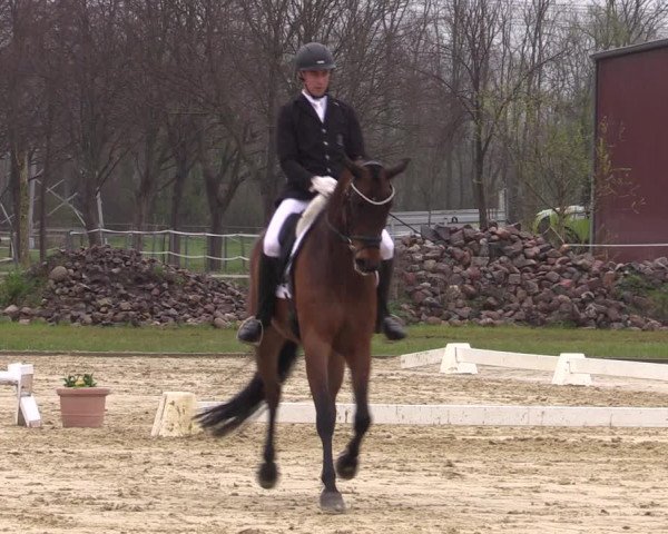 Reitturnier Wutzetz 2023