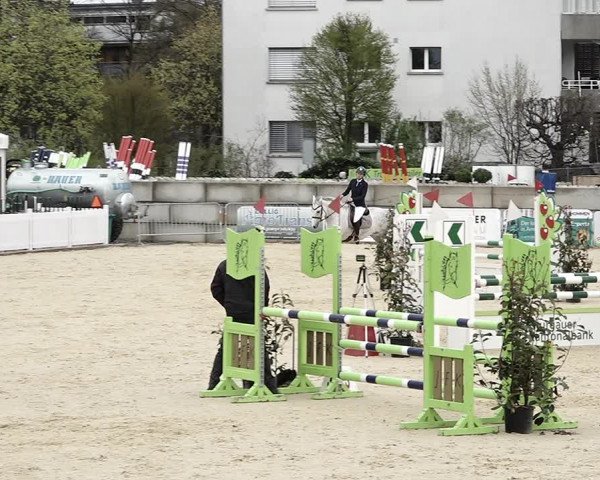 Reitturnier Amriswil 2023