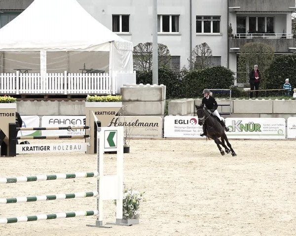 Reitturnier Amriswil 2023