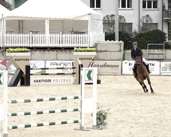 Reitturnier Amriswil 2023