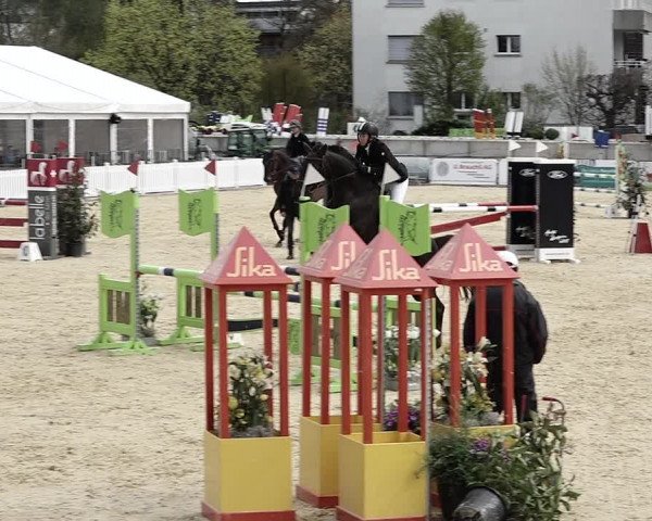 Reitturnier Amriswil 2023
