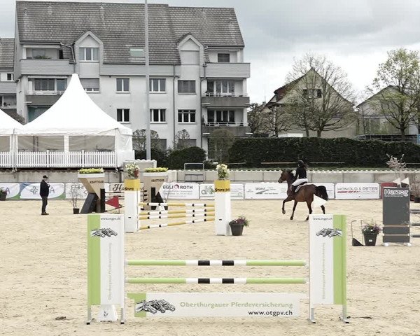 Reitturnier Amriswil 2023