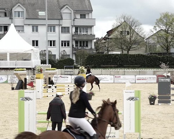 Reitturnier Amriswil 2023