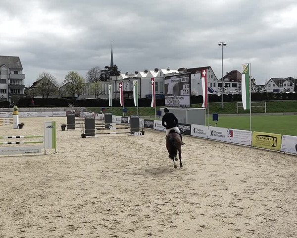 Reitturnier Amriswil 2023