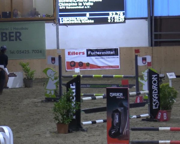 Reitturnier Borgholzhausen-Westbarthausen 2021