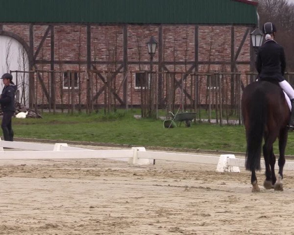 Reitturnier Wutzetz 2023