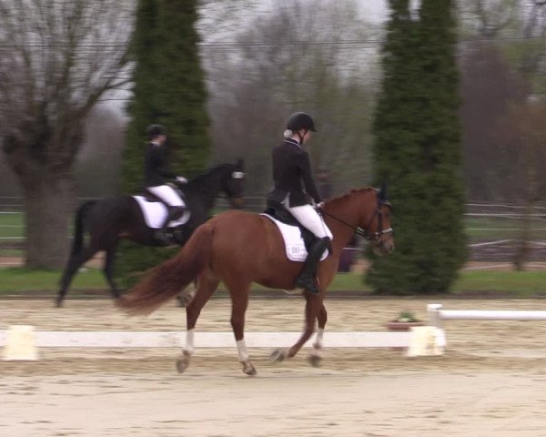 Reitturnier Wutzetz 2023