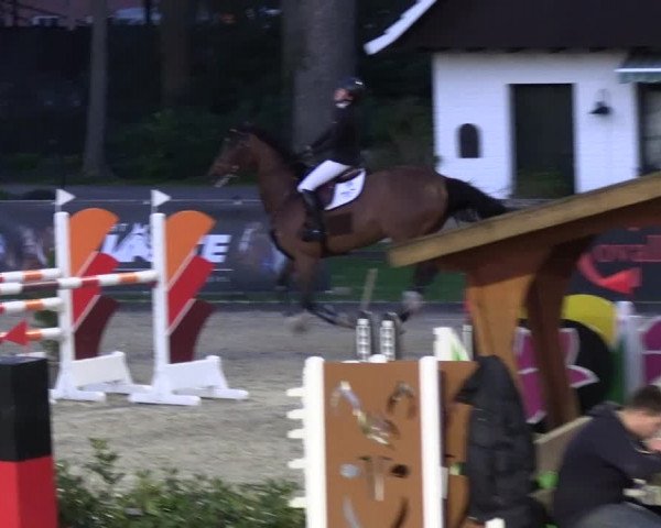 Reitturnier Klein Roscharden 2023