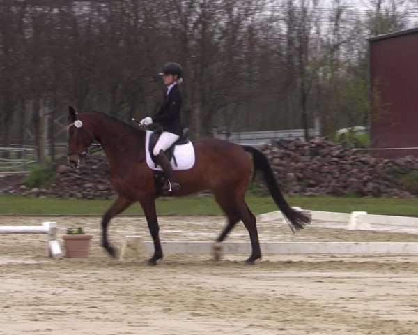 Reitturnier Wutzetz 2023