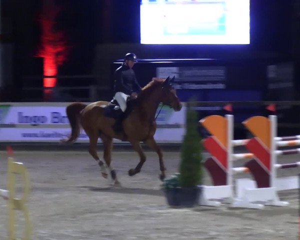 Reitturnier Klein Roscharden 2023