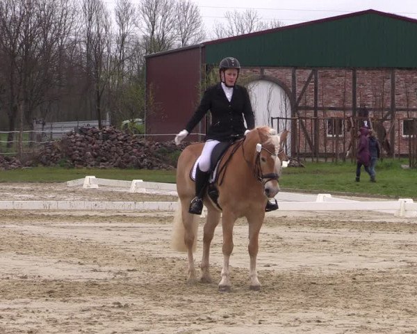 Reitturnier Wutzetz 2023