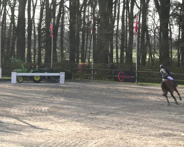 Reitturnier Klein Roscharden 2023