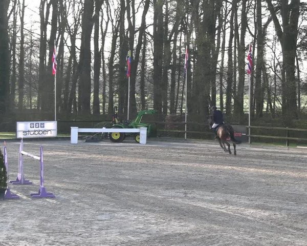 Reitturnier Klein Roscharden 2023
