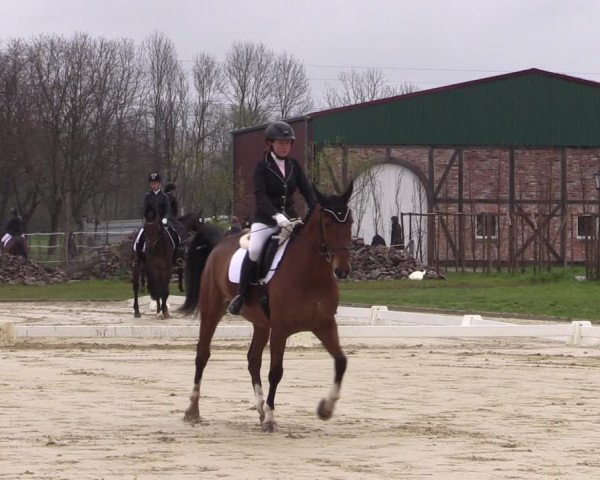 Reitturnier Wutzetz 2023