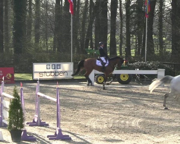Reitturnier Klein Roscharden 2023