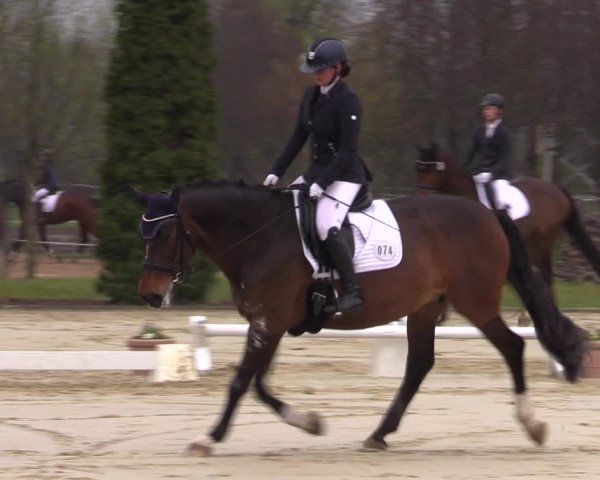 Reitturnier Wutzetz 2023