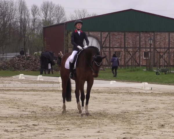 Reitturnier Wutzetz 2023