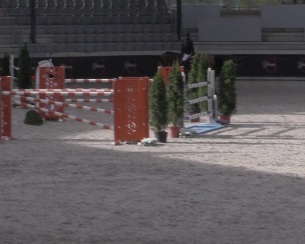 Reitturnier Aachen 2023