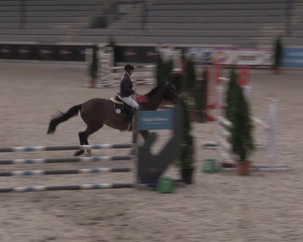 Reitturnier Aachen 2023