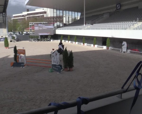 Reitturnier Aachen 2023