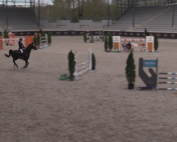 Reitturnier Aachen 2023