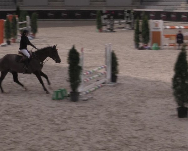 Reitturnier Aachen 2023